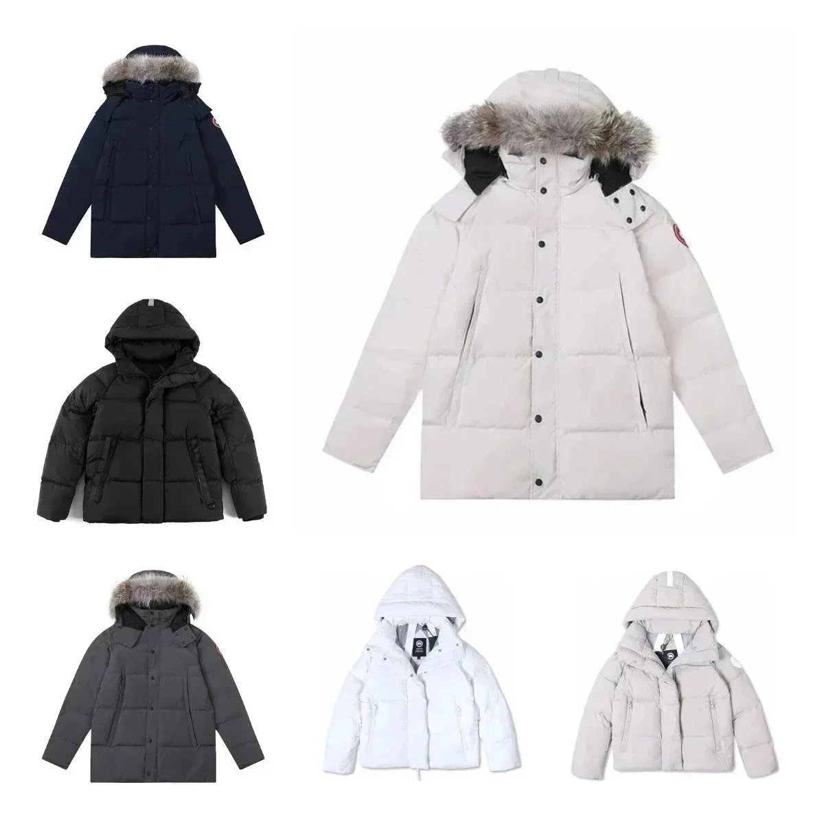 Classic Joker fashion down jacket-021
