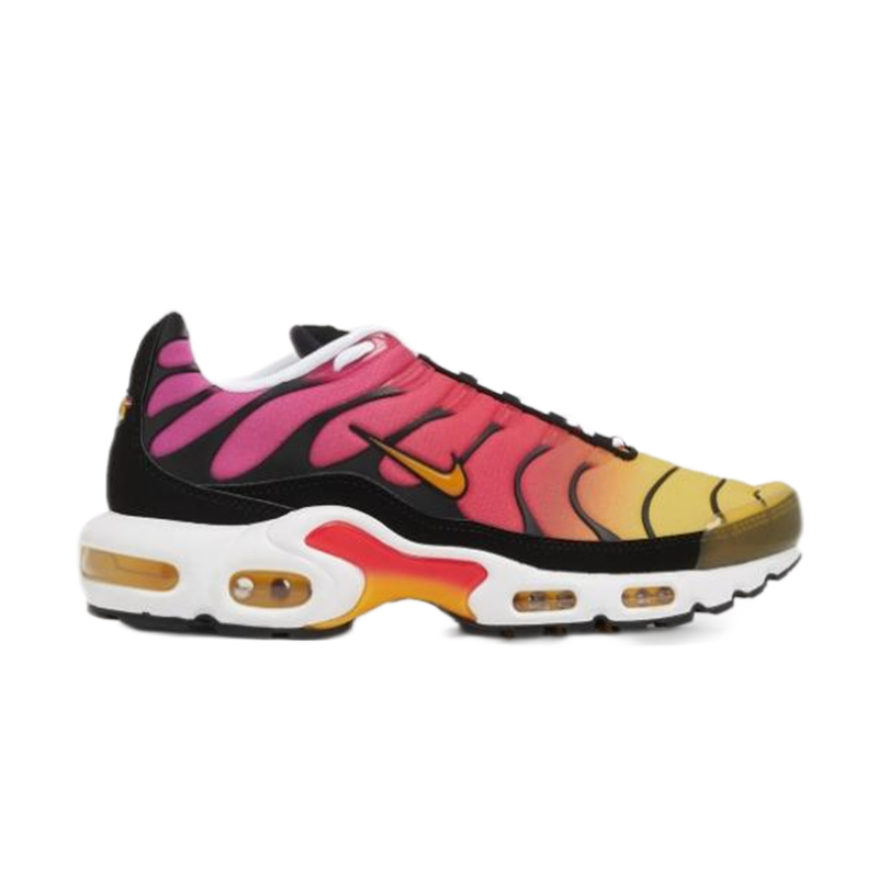 Plus TN  'Yellow Raspberry Pink Gradient'