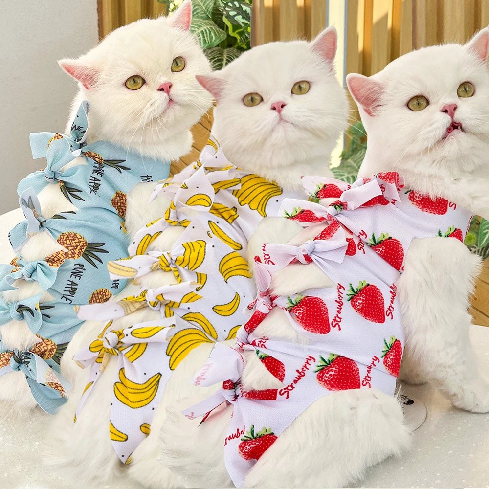 宠物猫咪狗狗绝育服手术后用药服断奶生理裤防舔猫骚扰衣服狗用品